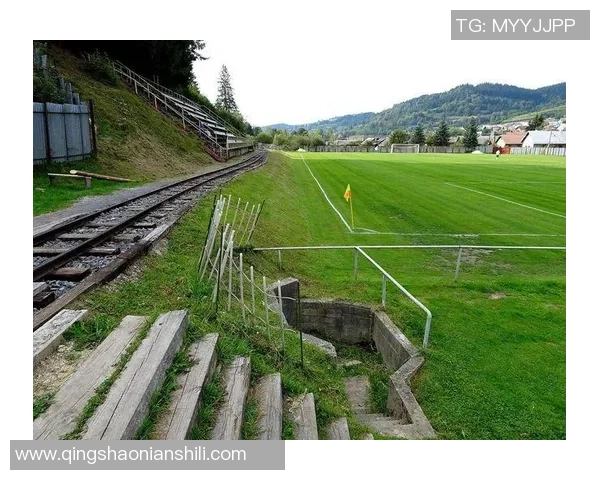 狒狒脸足球球星的崛起与挑战 解析其球场表现与个人魅力